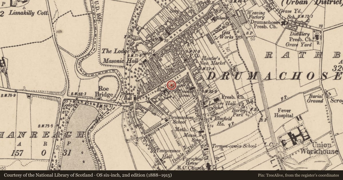 Ordnance Survey six-inch map, 2nd edition (1888–1915) covering the location of 36 Catherine Street, Newtown Limavady, Causeway Coast and Glens, with a pin at the register's coordinates