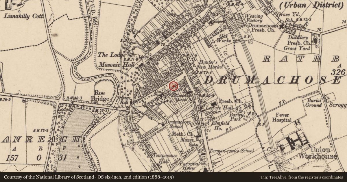 Ordnance Survey six-inch map, 2nd edition (1888–1915) covering the location of 28 Catherine Street, Newtown Limavady, Causeway Coast and Glens, with a pin at the register's coordinates
