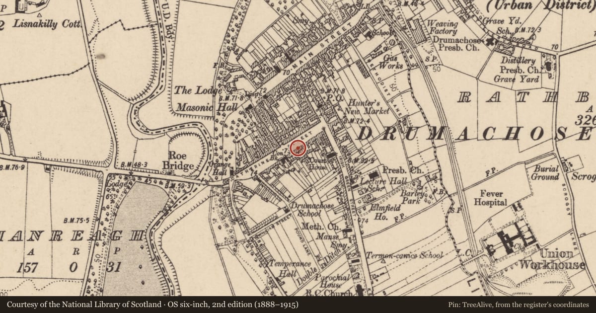 Ordnance Survey six-inch map, 2nd edition (1888–1915) covering the location of 34 Catherine Street, Newtown Limavady, Causeway Coast and Glens, with a pin at the register's coordinates