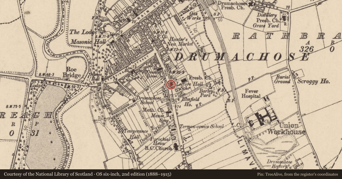 Ordnance Survey six-inch map, 2nd edition (1888–1915) covering the location of 55 Irish Green Street, Newtown Limavady, Causeway Coast and Glens, with a pin at the register's coordinates