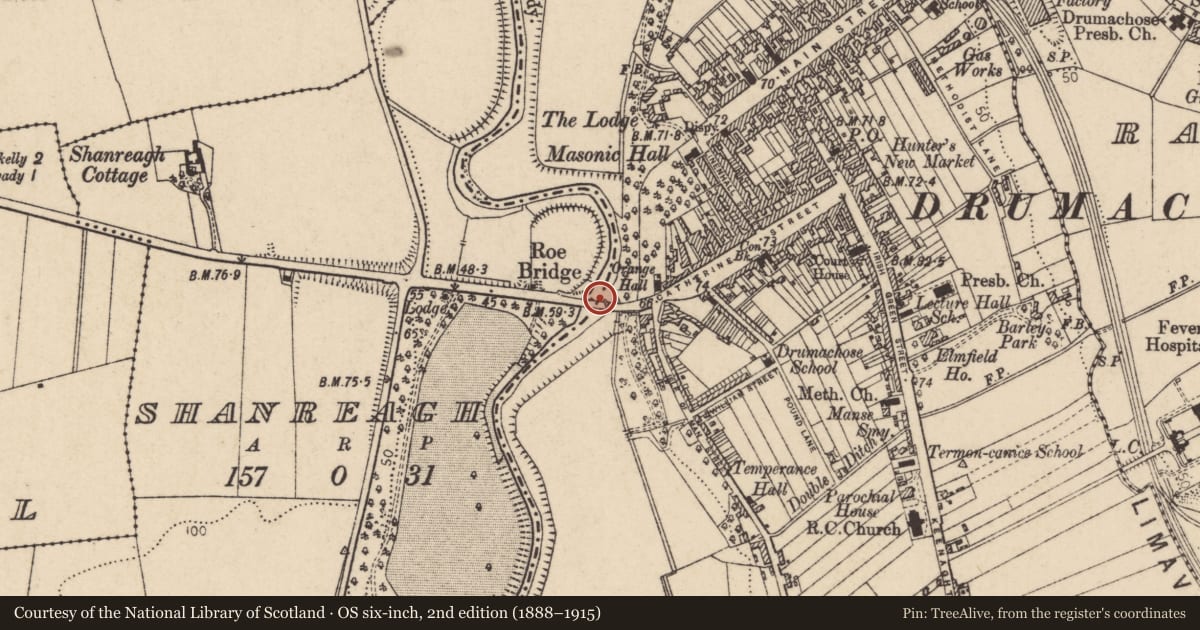 Ordnance Survey six-inch map, 2nd edition (1888–1915) covering the location of Roe Road Bridge, Newtown Limavady, Causeway Coast and Glens, with a pin at the register's coordinates