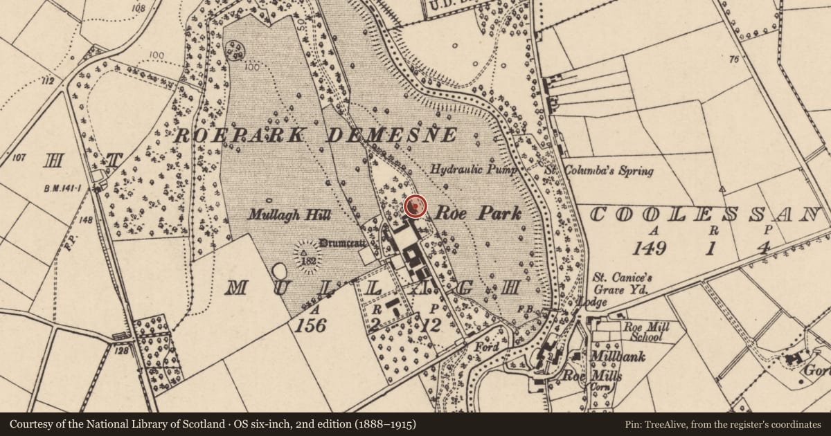 Ordnance Survey six-inch map, 2nd edition (1888–1915) covering the location of Roe Park (Radisson Hotel), Mullagh, Causeway Coast and Glens, with a pin at the register's coordinates