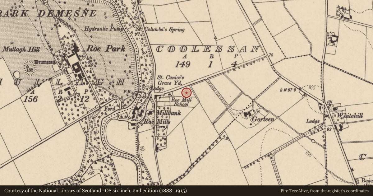 Ordnance Survey six-inch map, 2nd edition (1888–1915) covering the location of St Canice’s Old Graveyard, Coolessan, Causeway Coast and Glens, with a pin at the register's coordinates