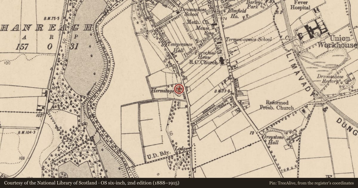 Ordnance Survey six-inch map, 2nd edition (1888–1915) covering the location of 29 Roe Mill Road, Newtown Limavady, Causeway Coast and Glens, with a pin at the register's coordinates