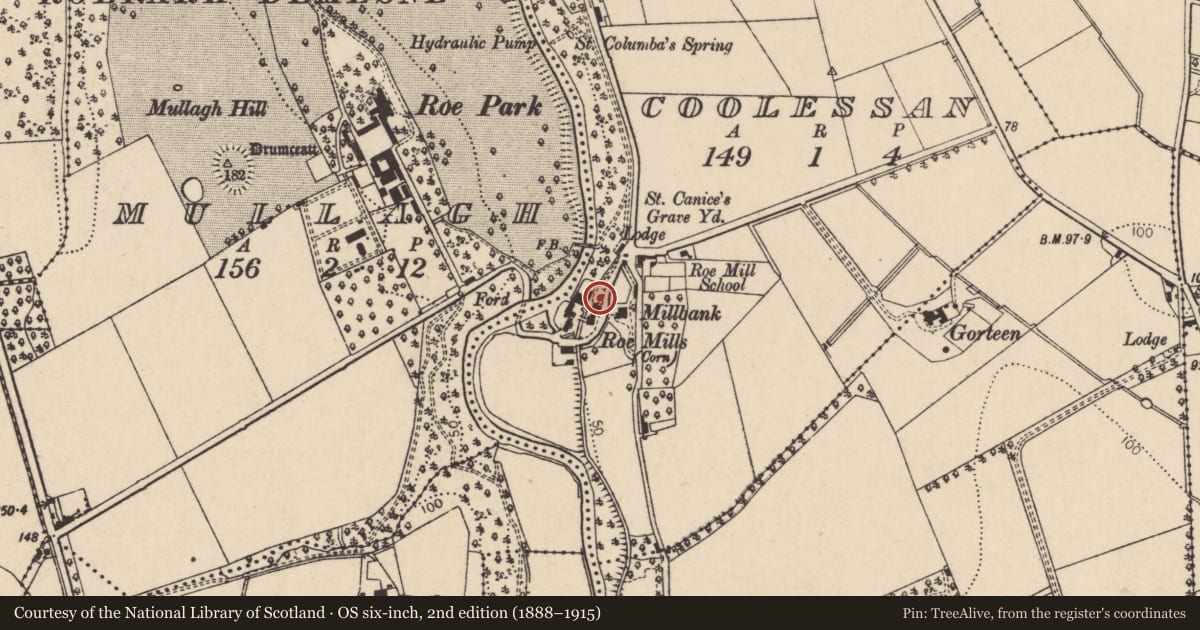 Ordnance Survey six-inch map, 2nd edition (1888–1915) covering the location of Roe Mills, Coolessan, Causeway Coast and Glens, with a pin at the register's coordinates