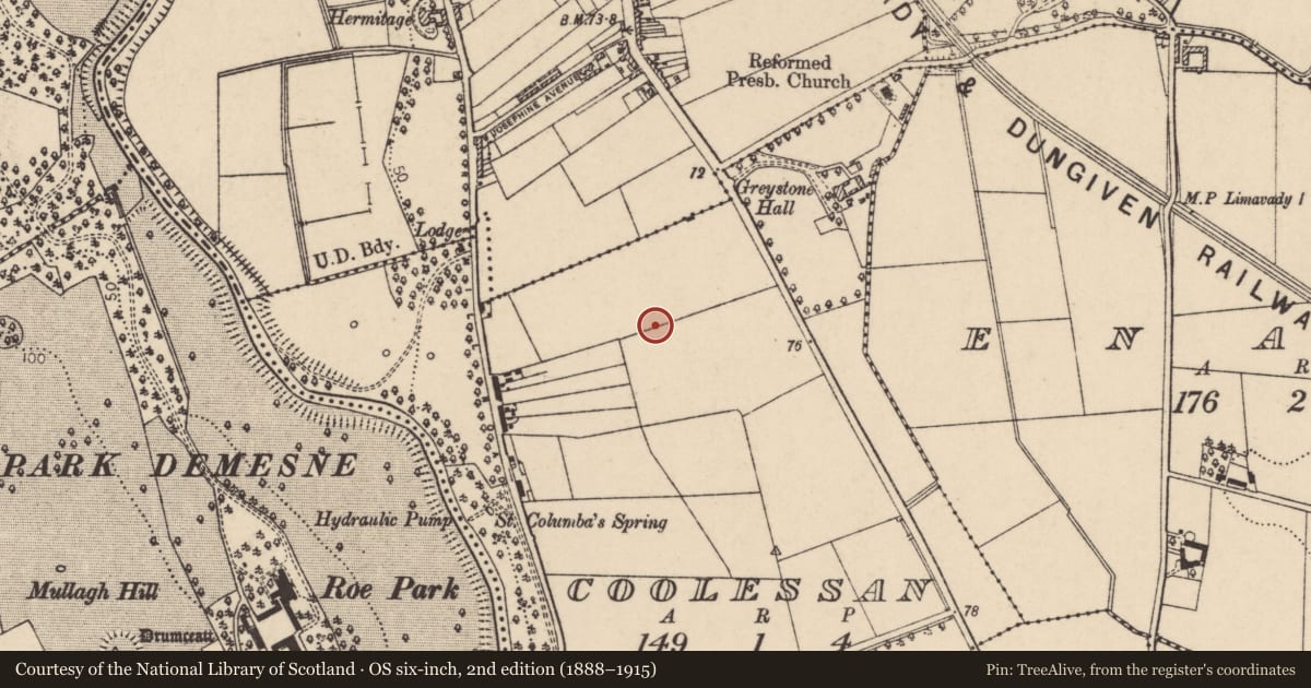 Ordnance Survey six-inch map, 2nd edition (1888–1915) covering the location of Limavady Grammar School, Coolessan, Causeway Coast and Glens, with a pin at the register's coordinates