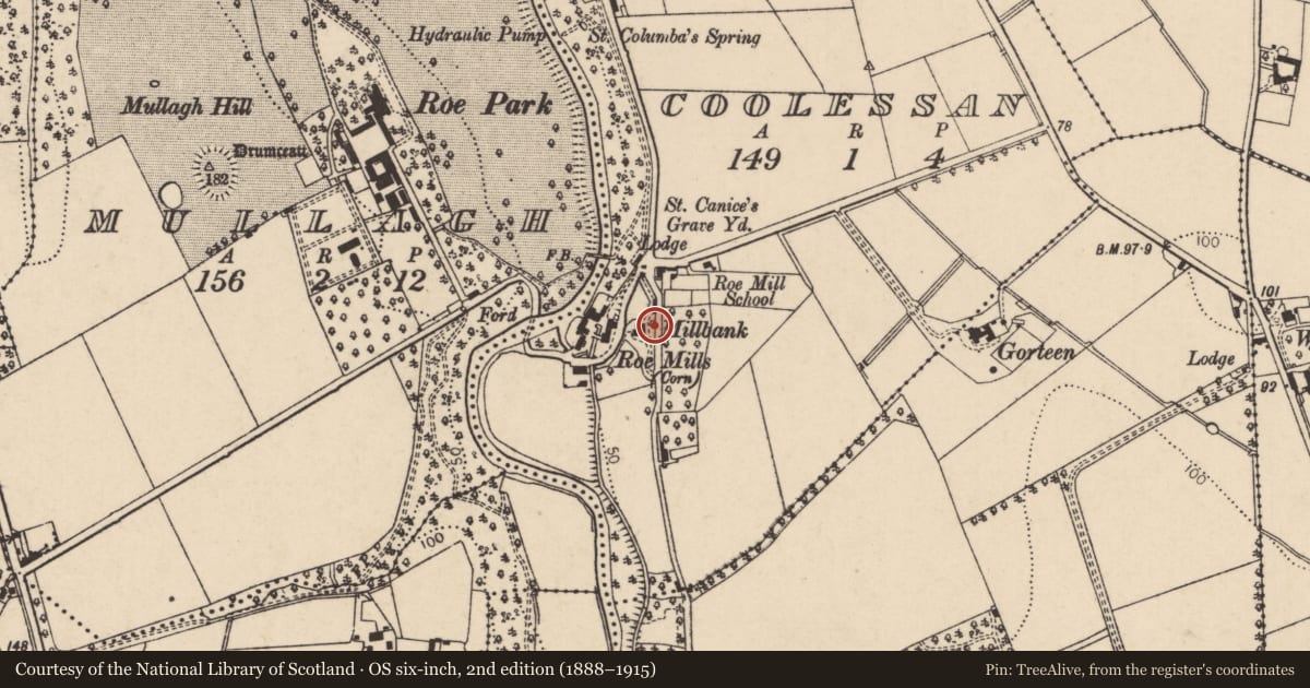 Ordnance Survey six-inch map, 2nd edition (1888–1915) covering the location of Roe Mill House, Coolessan, Causeway Coast and Glens, with a pin at the register's coordinates