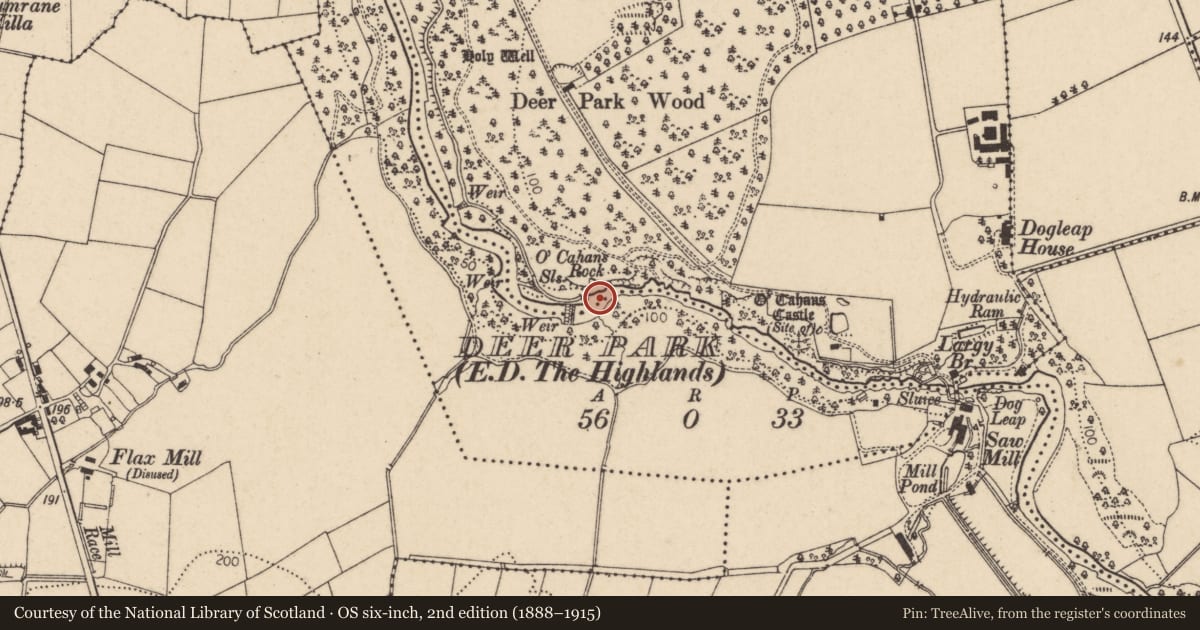 Ordnance Survey six-inch map, 2nd edition (1888–1915) covering the location of Millrace and Sluice Gate, Deer Park, Causeway Coast and Glens, with a pin at the register's coordinates