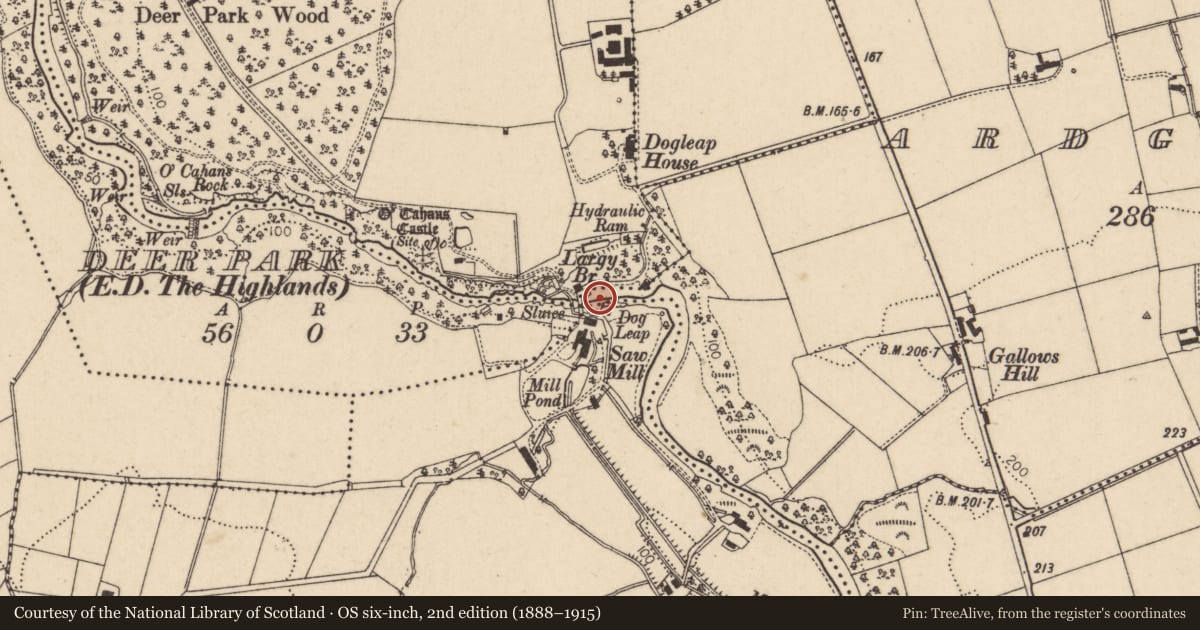 Ordnance Survey six-inch map, 2nd edition (1888–1915) covering the location of Brochan House, Deer Park, Causeway Coast and Glens, with a pin at the register's coordinates