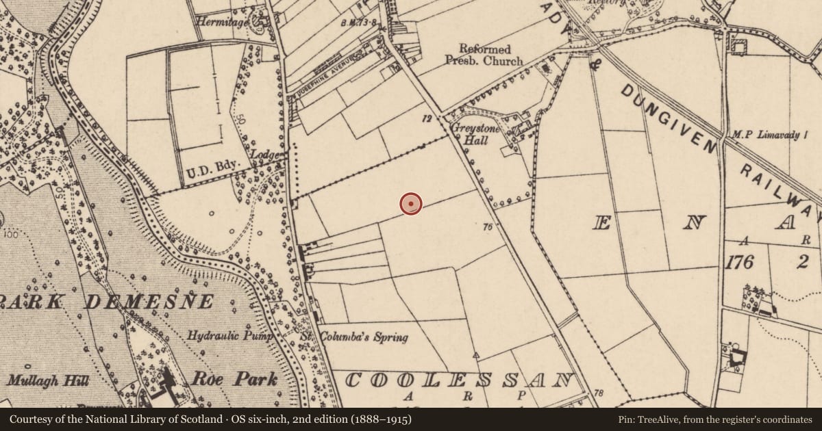 Ordnance Survey six-inch map, 2nd edition (1888–1915) covering the location of Greystone Hall Special School, Rathbrady More, Causeway Coast and Glens, with a pin at the register's coordinates
