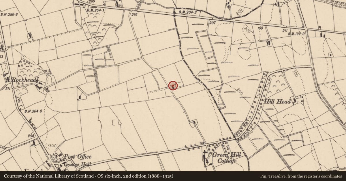 Ordnance Survey six-inch map, 2nd edition (1888–1915) covering the location of 12 Hill Head Road, Bovedy, Causeway Coast and Glens, with a pin at the register's coordinates