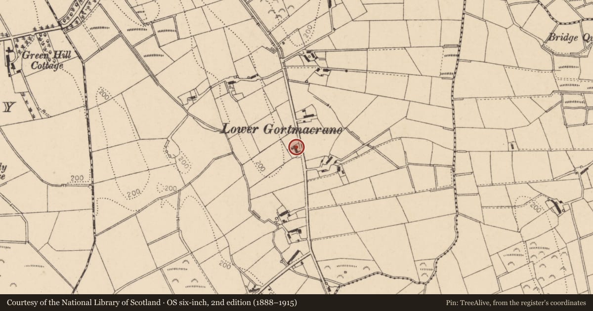 Ordnance Survey six-inch map, 2nd edition (1888–1915) covering the location of 46 Drumsara Road, Gortmacrane, Causeway Coast and Glens, with a pin at the register's coordinates