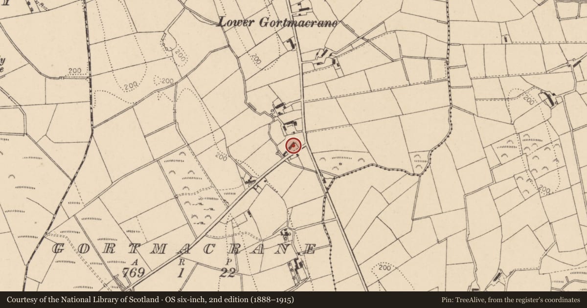 Ordnance Survey six-inch map, 2nd edition (1888–1915) covering the location of 1 Gortmacrane Road, Causeway Coast and Glens, with a pin at the register's coordinates