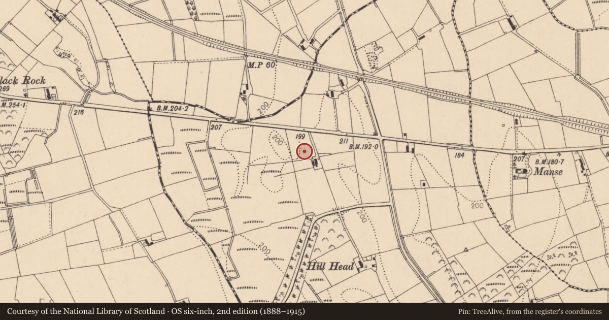 Ordnance Survey six-inch map, 2nd edition (1888–1915) covering the location of 50 Blackrock Road, Causeway Coast and Glens, with a pin at the register's coordinates