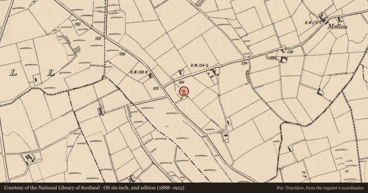 Ordnance Survey six-inch map, 2nd edition (1888–1915) covering the location of 96 Moneydig Road, Causeway Coast and Glens, with a pin at the register's coordinates