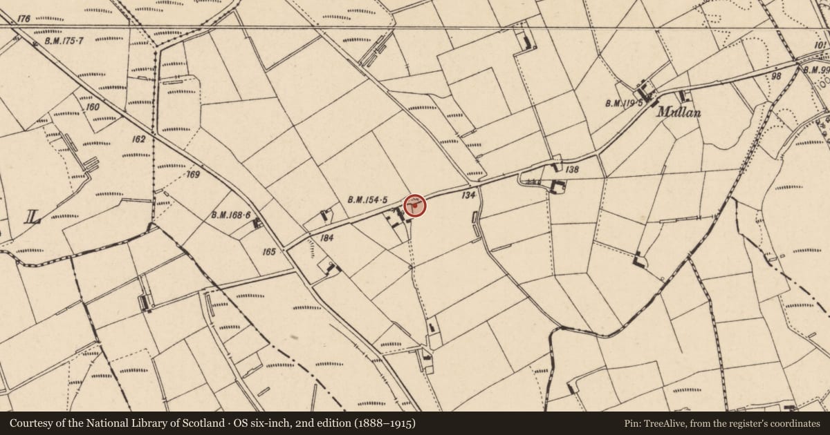 Ordnance Survey six-inch map, 2nd edition (1888–1915) covering the location of 20 Mullan Road, Causeway Coast and Glens, with a pin at the register's coordinates