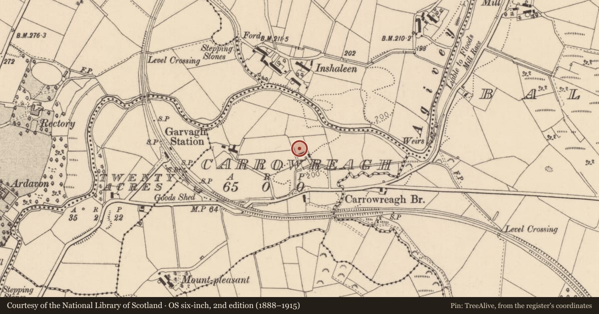 Ordnance Survey six-inch map, 2nd edition (1888–1915) covering the location of Carrowreagh House, Causeway Coast and Glens, with a pin at the register's coordinates