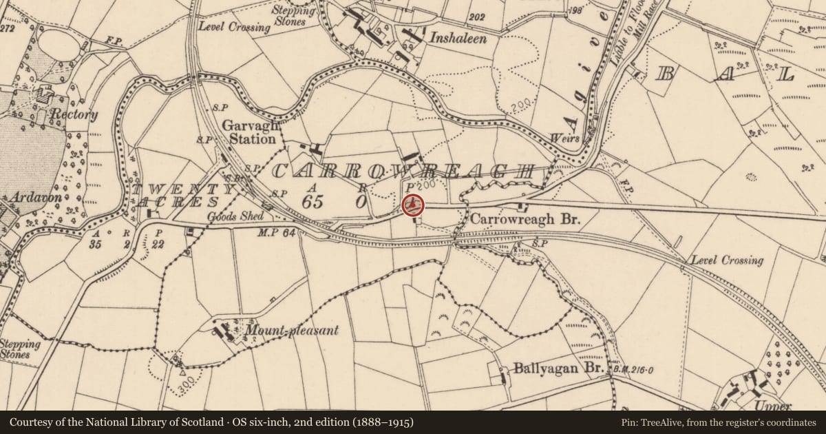Ordnance Survey six-inch map, 2nd edition (1888–1915) covering the location of Carrowreagh House, Causeway Coast and Glens, with a pin at the register's coordinates