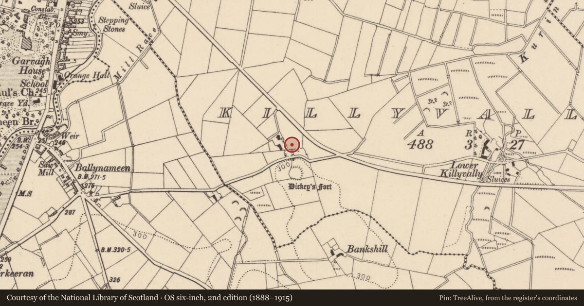 Ordnance Survey six-inch map, 2nd edition (1888–1915) covering the location of 38 Kilrea Road, Causeway Coast and Glens, with a pin at the register's coordinates