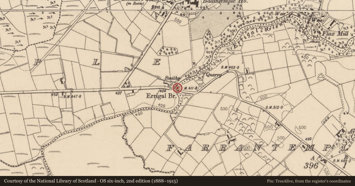 Ordnance Survey six-inch map, 2nd edition (1888–1915) covering the location of Errigal Bridge, Ballintemple/Farrantemple Glebe, Causeway Coast and Glens, with a pin at the register's coordinates