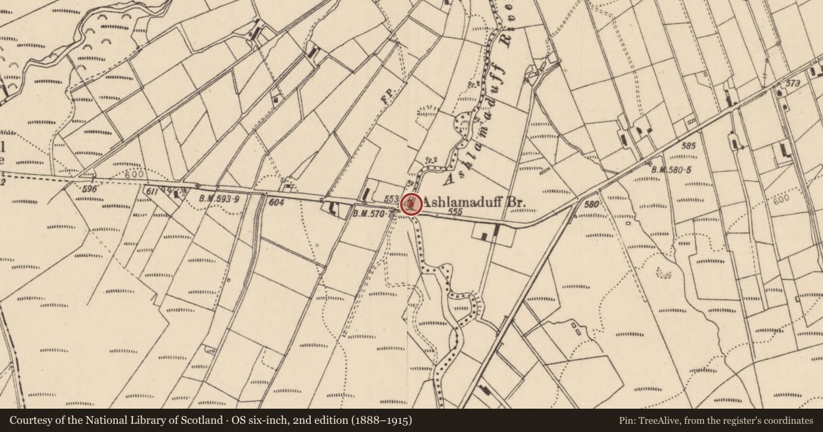 Ordnance Survey six-inch map, 2nd edition (1888–1915) covering the location of Ashlamaduff Bridge, Causeway Coast and Glens, with a pin at the register's coordinates