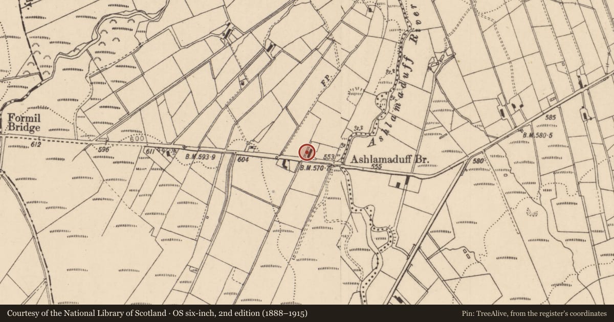 Ordnance Survey six-inch map, 2nd edition (1888–1915) covering the location of 98 Gelvin Road, Causeway Coast and Glens, with a pin at the register's coordinates