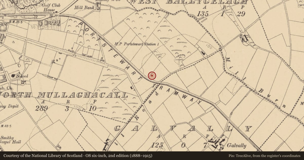 Ordnance Survey six-inch map, 2nd edition (1888–1915) covering the location of Pump at 69 Station Road, Carrowreagh, Causeway Coast and Glens, with a pin at the register's coordinates