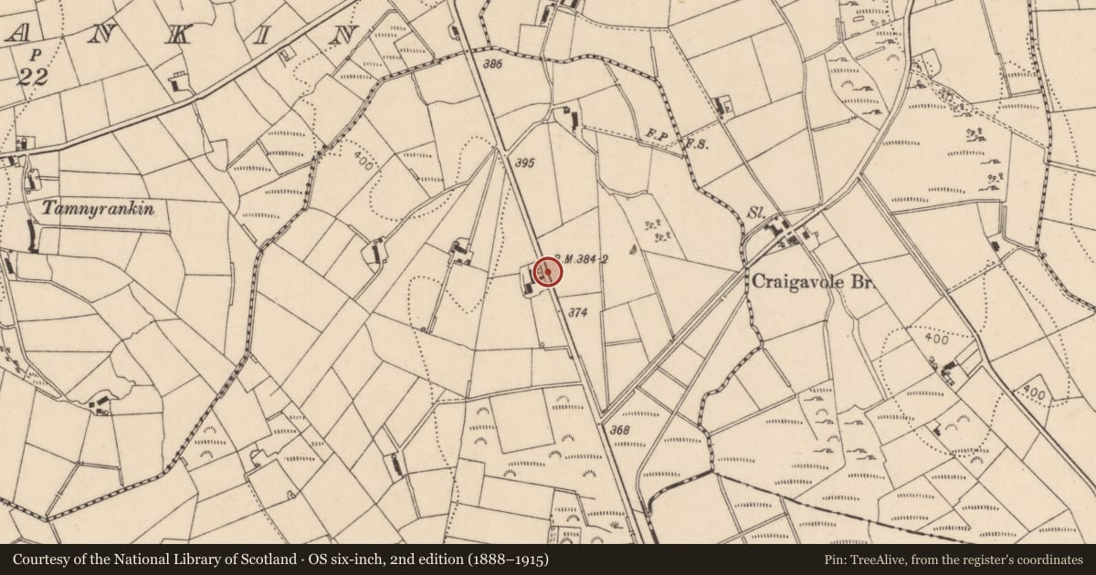 Ordnance Survey six-inch map, 2nd edition (1888–1915) covering the location of Pump outside 139 Carhill Road, Laragh, Causeway Coast and Glens, with a pin at the register's coordinates