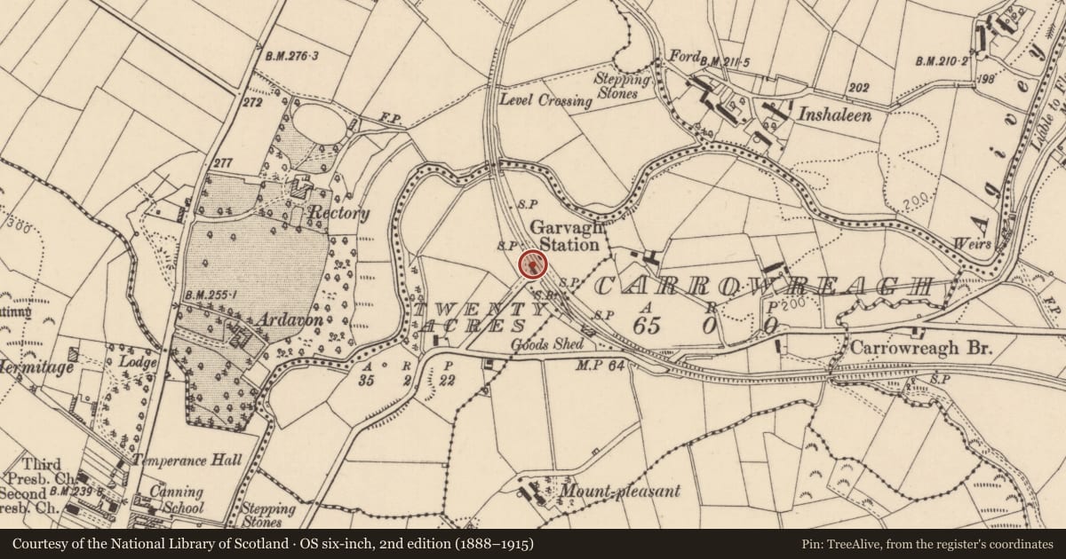 Ordnance Survey six-inch map, 2nd edition (1888–1915) covering the location of 52 Station Road, Twenty Acres, Causeway Coast and Glens, with a pin at the register's coordinates