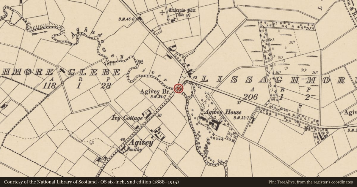 Ordnance Survey six-inch map, 2nd edition (1888–1915) covering the location of Agivey Bridge, Lissaghmore/Mullaghmore Glebe, Causeway Coast and Glens, with a pin at the register's coordinates