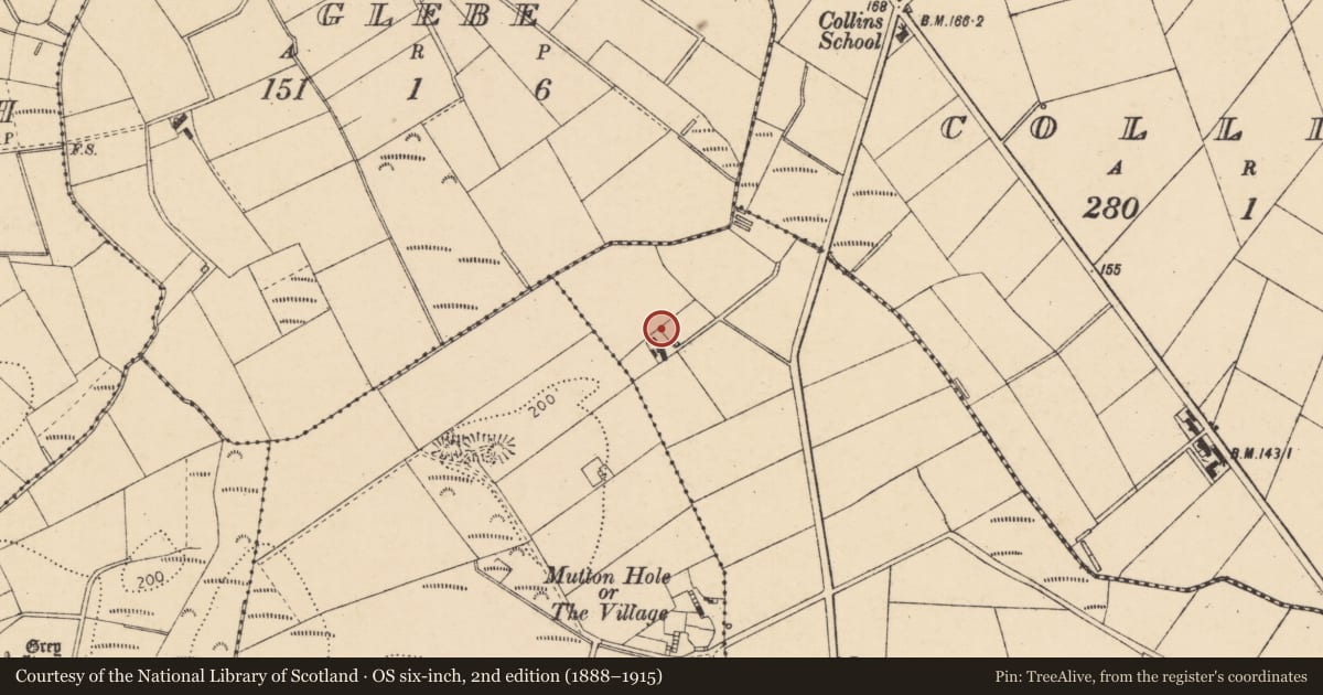 Ordnance Survey six-inch map, 2nd edition (1888–1915) covering the location of 11 Lisnamuck Road, Causeway Coast and Glens, with a pin at the register's coordinates