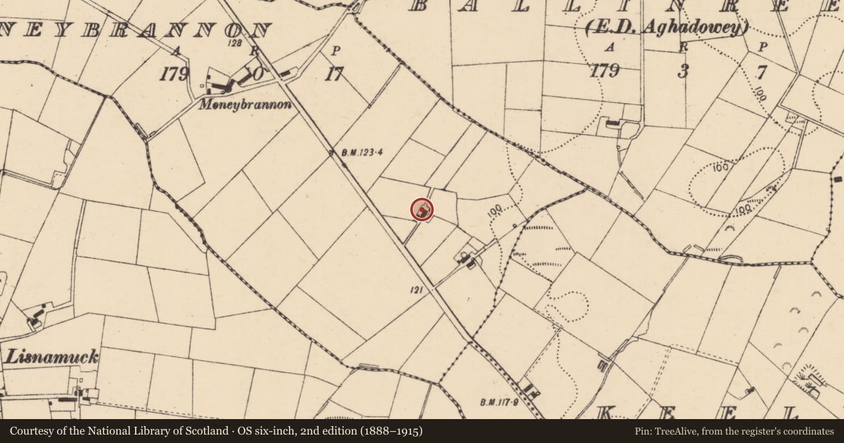 Ordnance Survey six-inch map, 2nd edition (1888–1915) covering the location of 53 Moneybrannon Road, aghadowey, Coleraine, Co Londonderry, BT51 4AA, Causeway Coast and Glens, with a pin at the register's coordinates