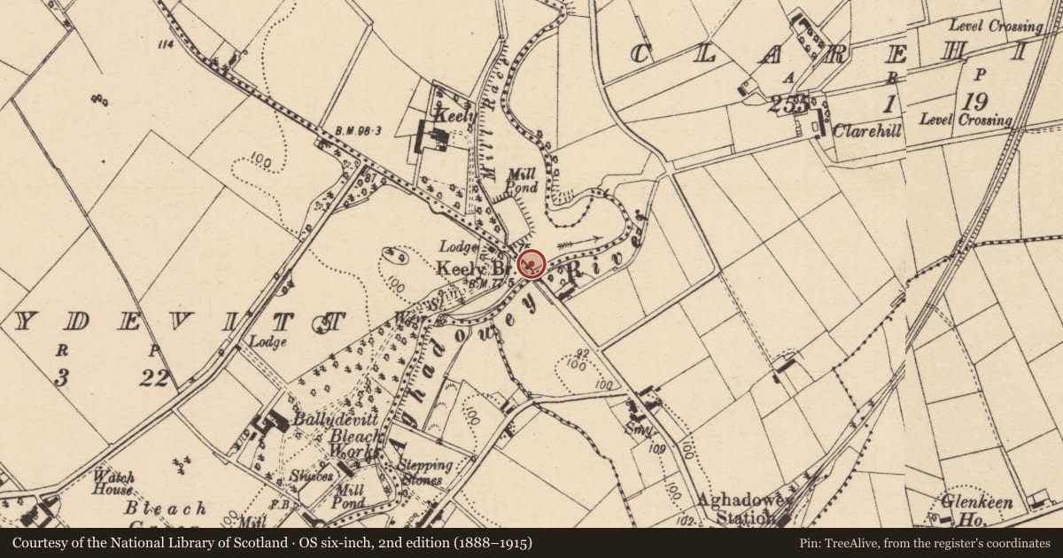Ordnance Survey six-inch map, 2nd edition (1888–1915) covering the location of Keely Bridge, Causeway Coast and Glens, with a pin at the register's coordinates