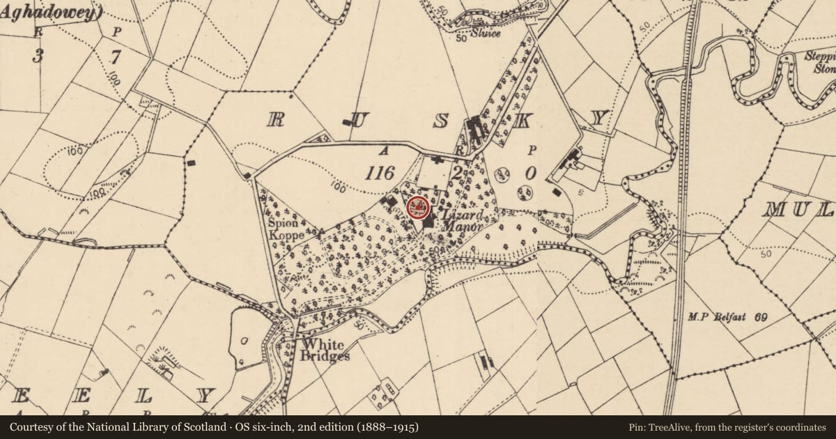 Ordnance Survey six-inch map, 2nd edition (1888–1915) covering the location of Lizard Manor, Rusky, Causeway Coast and Glens, with a pin at the register's coordinates