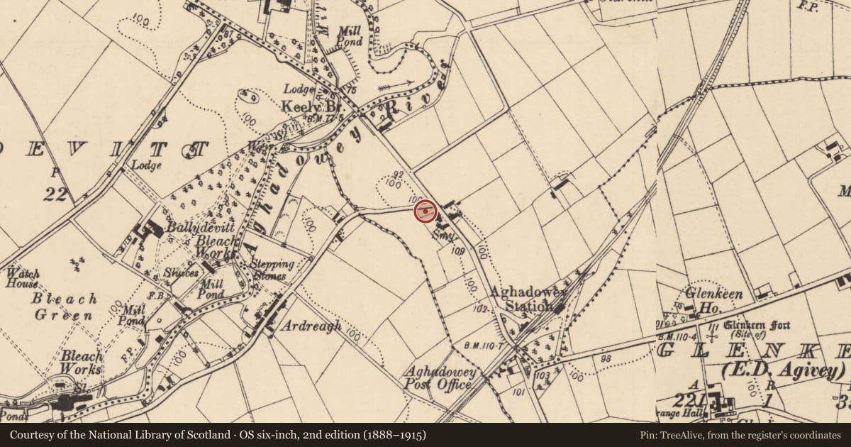 Ordnance Survey six-inch map, 2nd edition (1888–1915) covering the location of Moneybrannon Road, Causeway Coast and Glens, with a pin at the register's coordinates