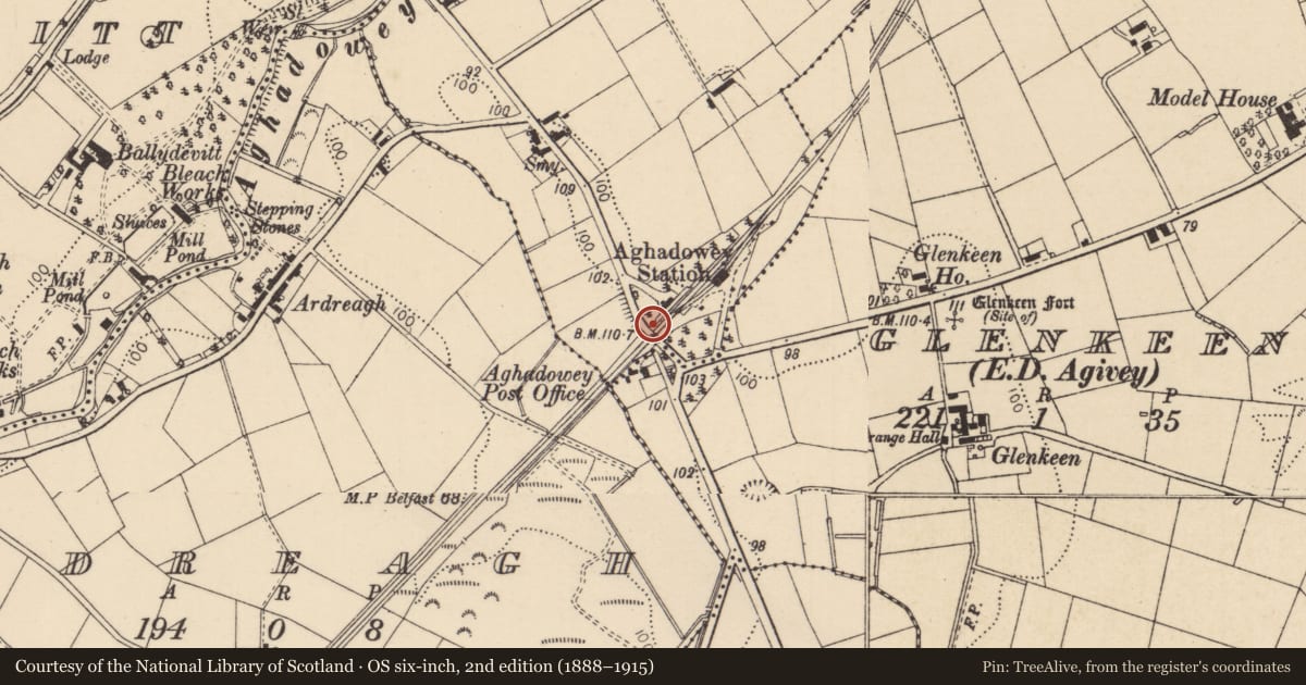 Ordnance Survey six-inch map, 2nd edition (1888–1915) covering the location of Railway Bridge, Clarehill, Causeway Coast and Glens, with a pin at the register's coordinates