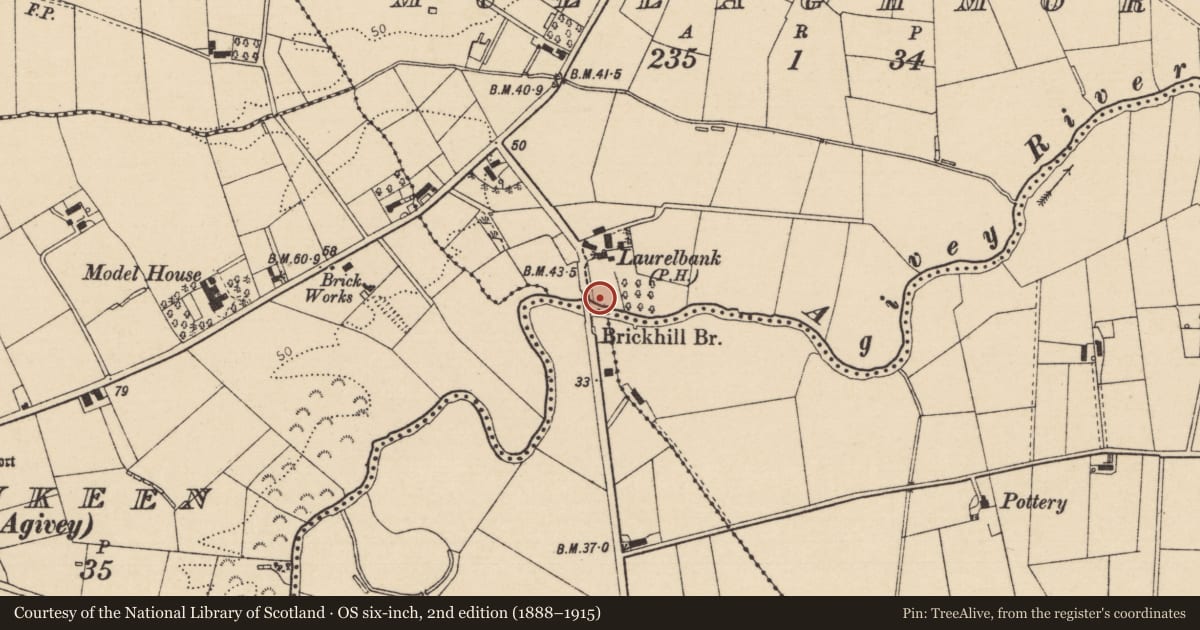 Ordnance Survey six-inch map, 2nd edition (1888–1915) covering the location of Brickhill Bridge, Inchadoghill/Mullaghmore, Causeway Coast and Glens, with a pin at the register's coordinates