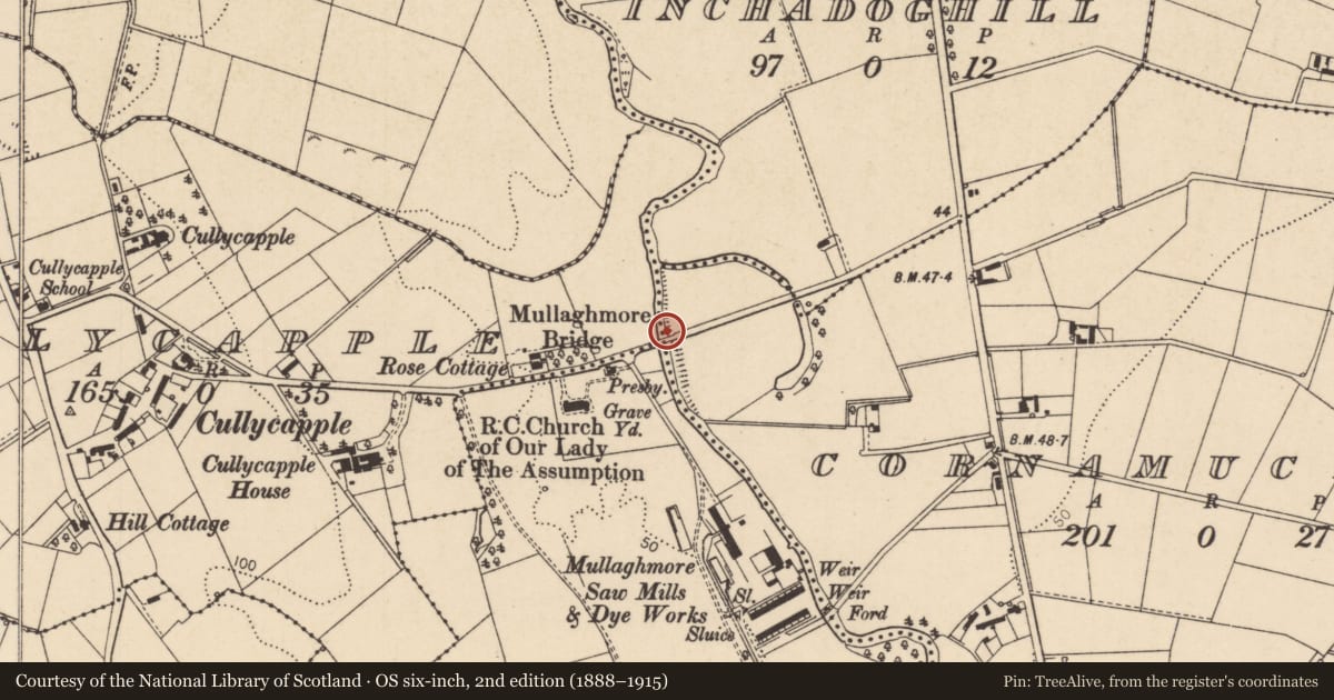 Ordnance Survey six-inch map, 2nd edition (1888–1915) covering the location of Mullaghmore Bridge, Causeway Coast and Glens, with a pin at the register's coordinates