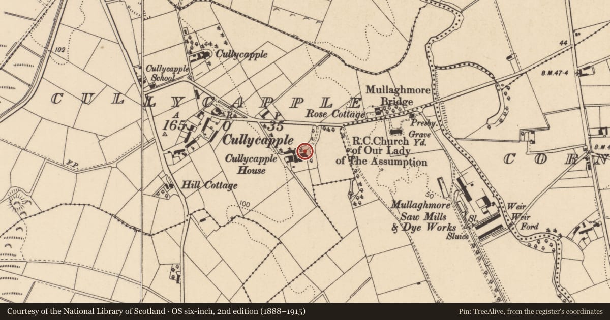 Ordnance Survey six-inch map, 2nd edition (1888–1915) covering the location of Cullycapple House, Causeway Coast and Glens, with a pin at the register's coordinates