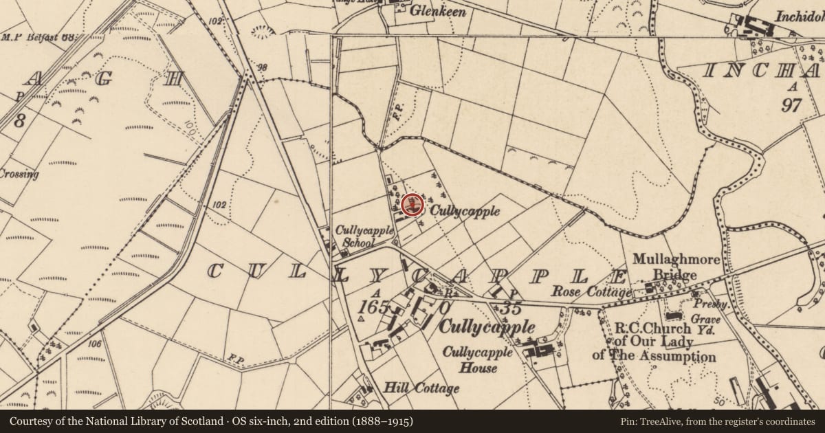 Ordnance Survey six-inch map, 2nd edition (1888–1915) covering the location of Fairlea, Cullycapple, Causeway Coast and Glens, with a pin at the register's coordinates
