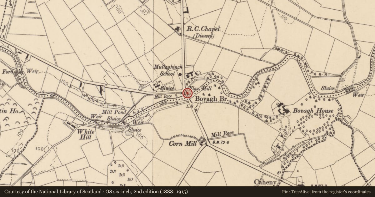 Ordnance Survey six-inch map, 2nd edition (1888–1915) covering the location of Bovagh Bridge, Bovagh/Mullaghinch, Causeway Coast and Glens, with a pin at the register's coordinates