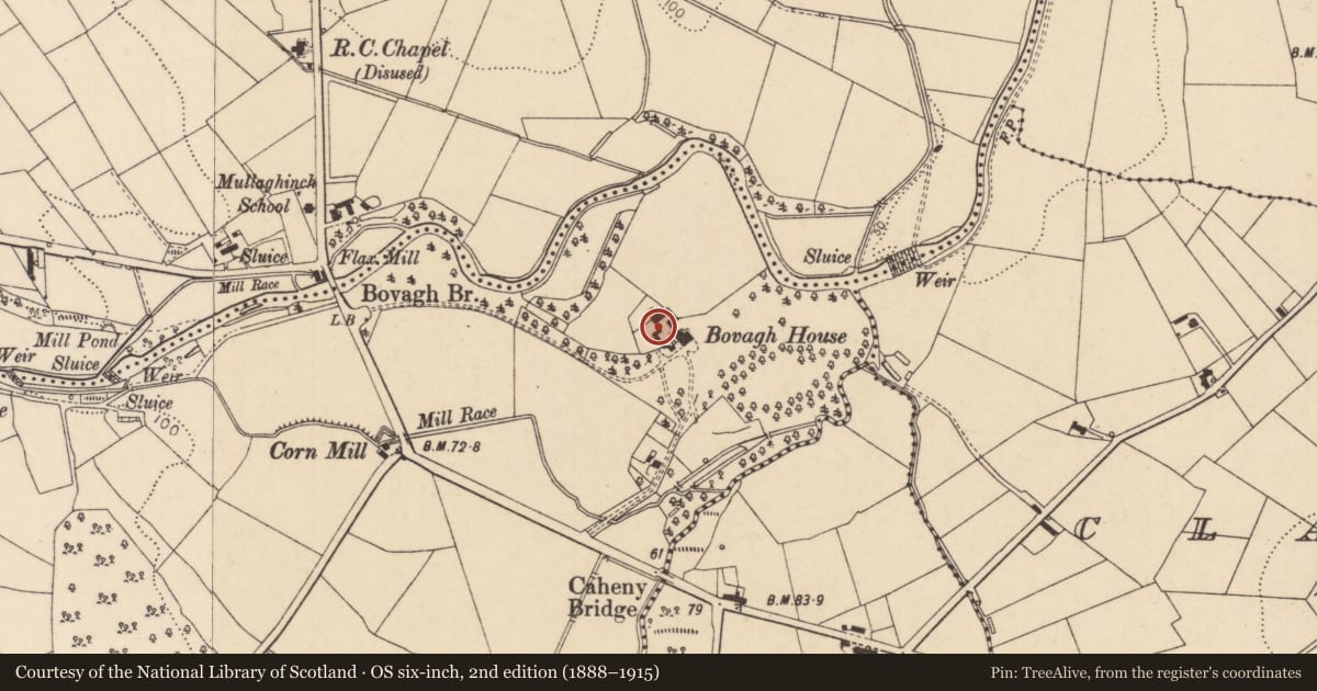 Ordnance Survey six-inch map, 2nd edition (1888–1915) covering the location of Outbuildings at Bovagh House, Causeway Coast and Glens, with a pin at the register's coordinates
