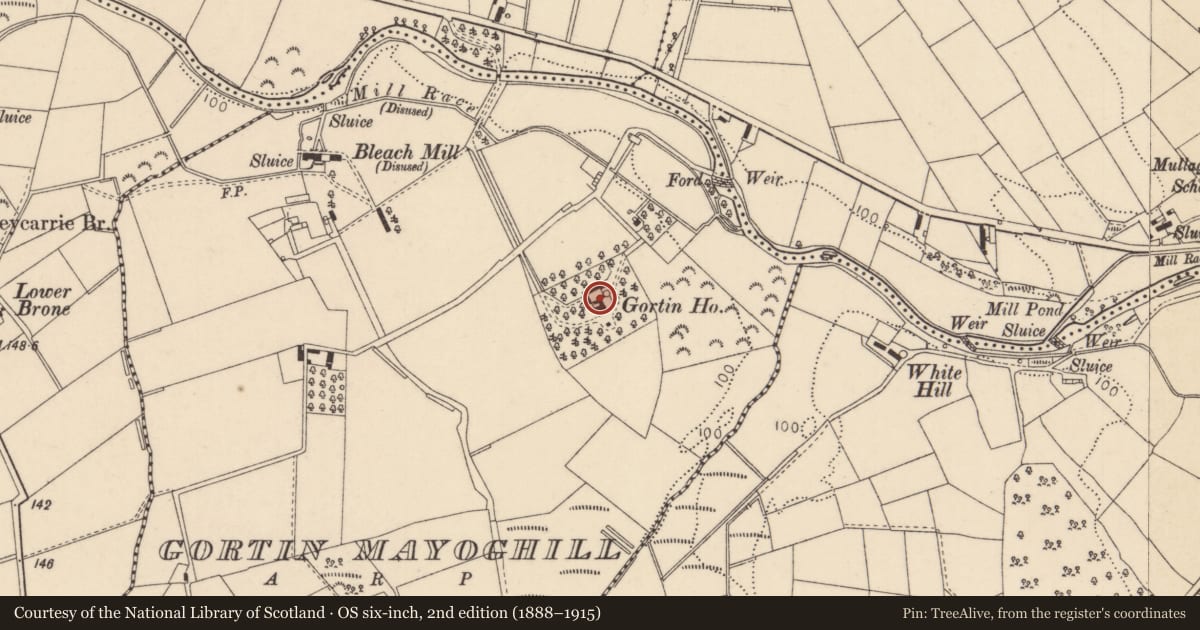 Ordnance Survey six-inch map, 2nd edition (1888–1915) covering the location of Gortin House, Gortin Mayoghill, Causeway Coast and Glens, with a pin at the register's coordinates