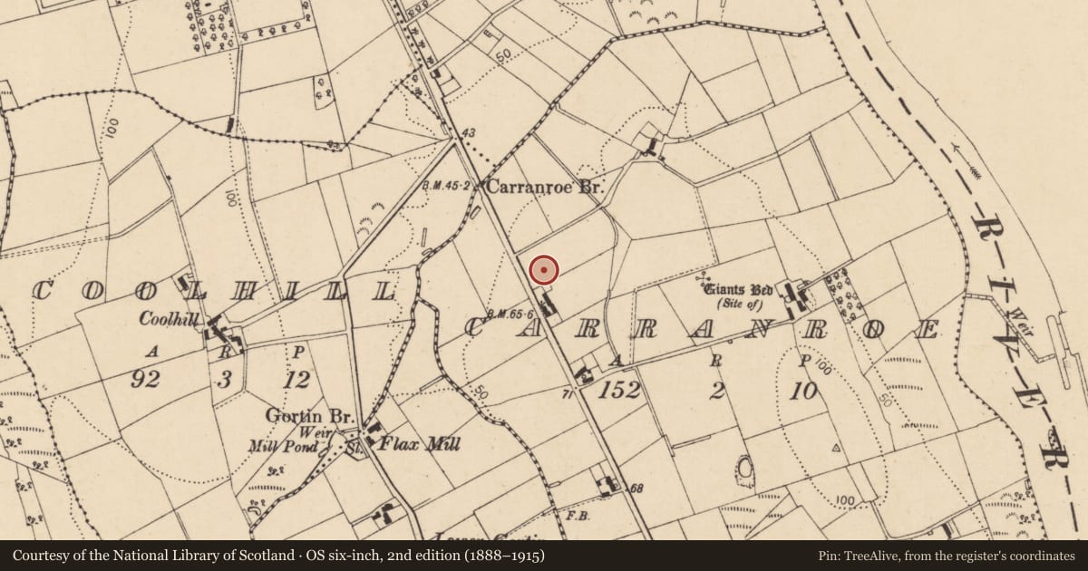 Ordnance Survey six-inch map, 2nd edition (1888–1915) covering the location of 115 Agivey Road, Causeway Coast and Glens, with a pin at the register's coordinates