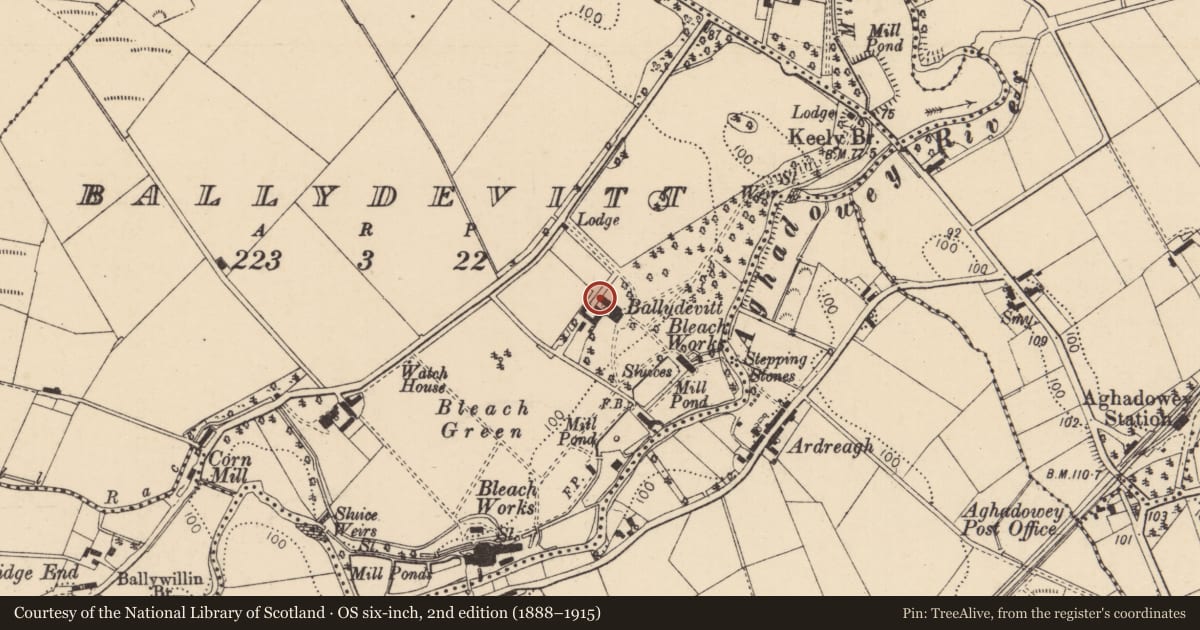 Ordnance Survey six-inch map, 2nd edition (1888–1915) covering the location of Wigmore House, Ballydevitt, Causeway Coast and Glens, with a pin at the register's coordinates