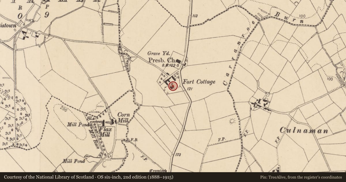 Ordnance Survey six-inch map, 2nd edition (1888–1915) covering the location of Oakfort, Moneydig, Causeway Coast and Glens, with a pin at the register's coordinates