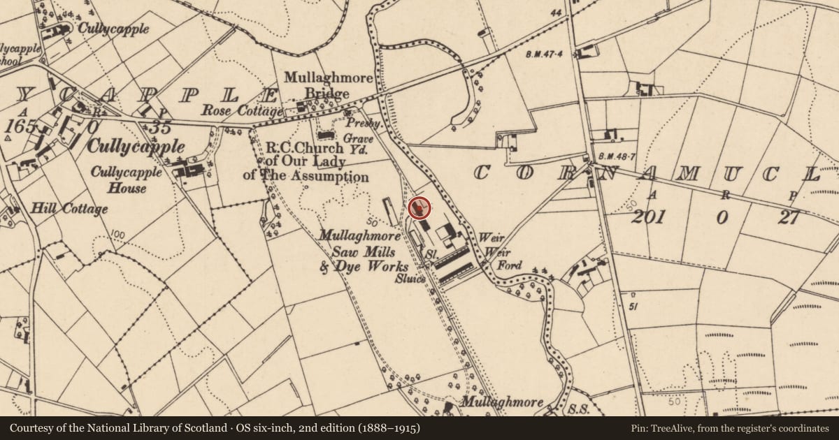 Ordnance Survey six-inch map, 2nd edition (1888–1915) covering the location of Former beetling mill, Agivey, Causeway Coast and Glens, with a pin at the register's coordinates