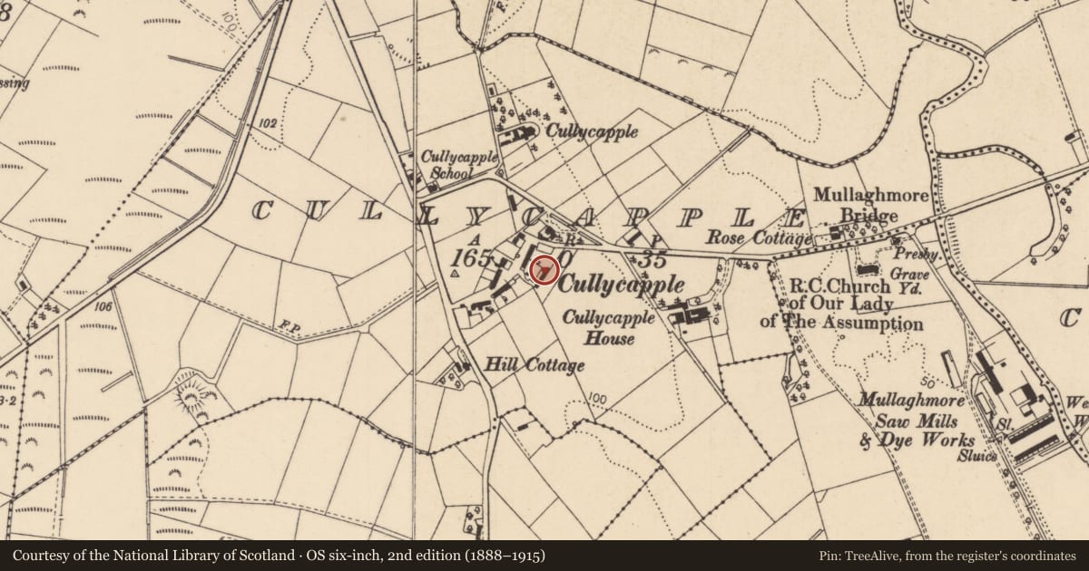 Ordnance Survey six-inch map, 2nd edition (1888–1915) covering the location of 10-12 Cullycapple Park, Causeway Coast and Glens, with a pin at the register's coordinates