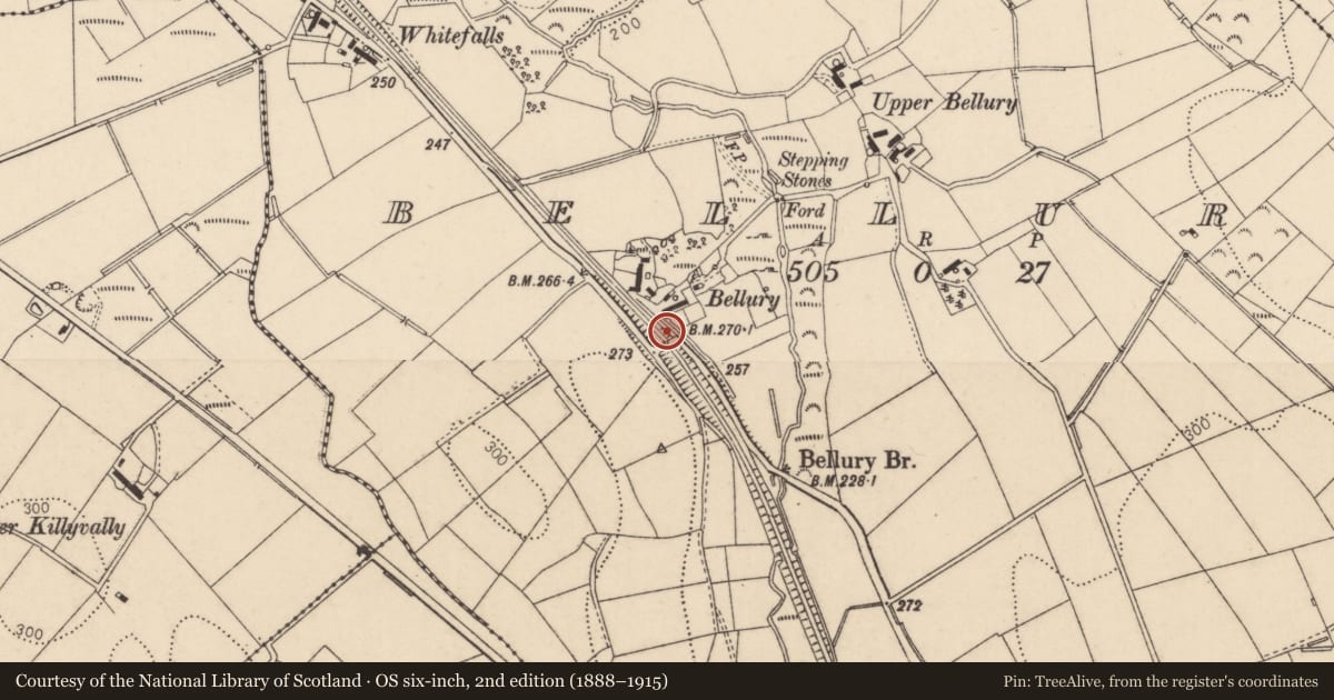 Ordnance Survey six-inch map, 2nd edition (1888–1915) covering the location of Railway Bridge, Bellury, Causeway Coast and Glens, with a pin at the register's coordinates