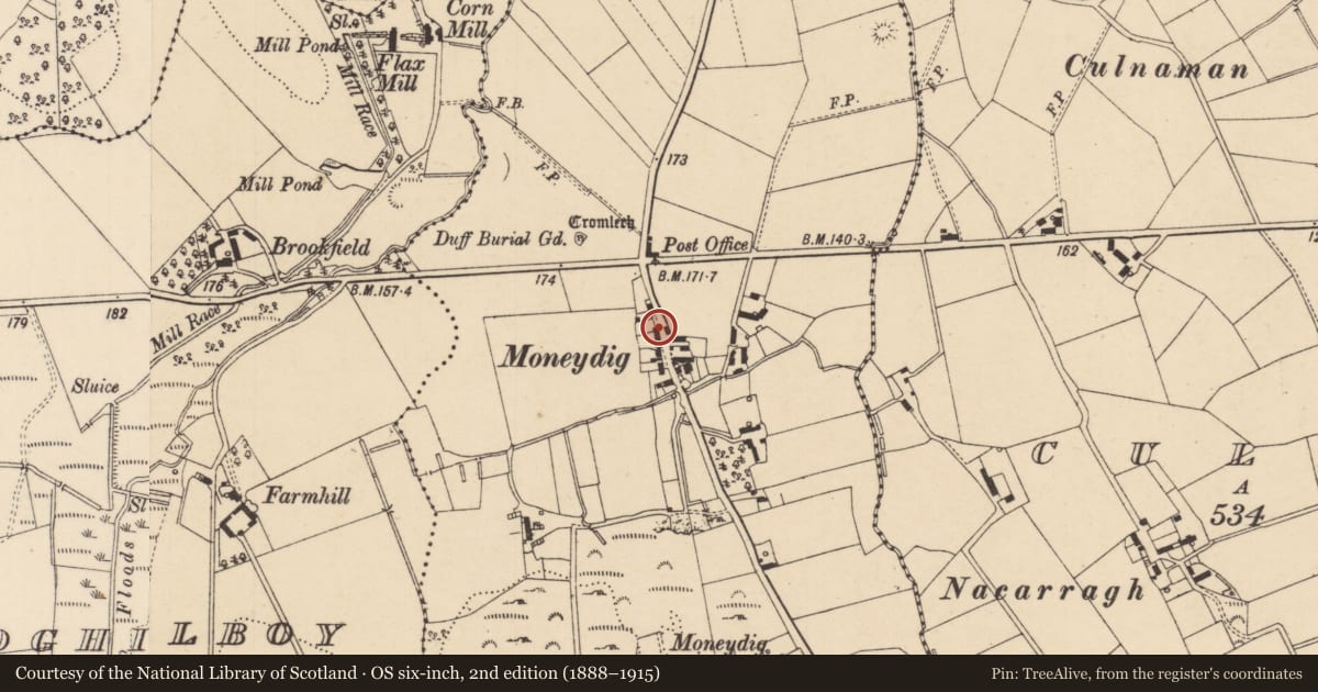Ordnance Survey six-inch map, 2nd edition (1888–1915) covering the location of Moneydig Road, Causeway Coast and Glens, with a pin at the register's coordinates